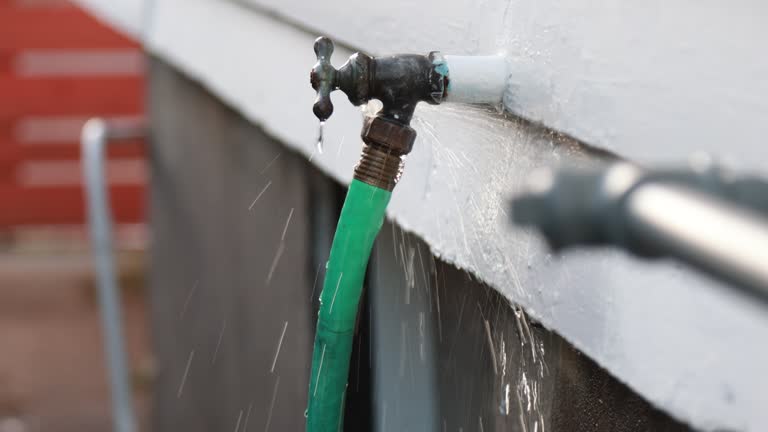 Best Shed Removal  in Kensington, CA